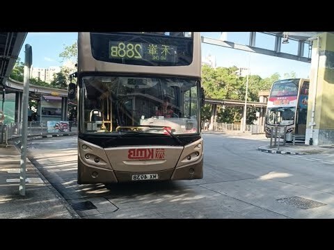 車牌 s